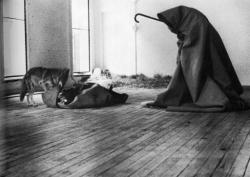 Joseph Beuys<br />
Installationen, Aktionen & Vitrinen