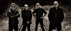 THE STRANGLERS<br />
+Guest