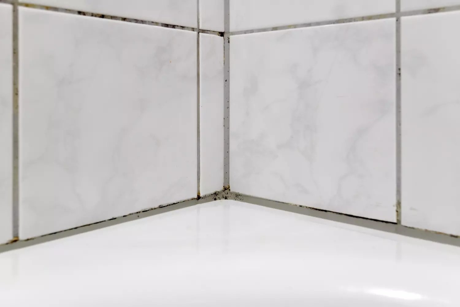 Black mold in the shower?